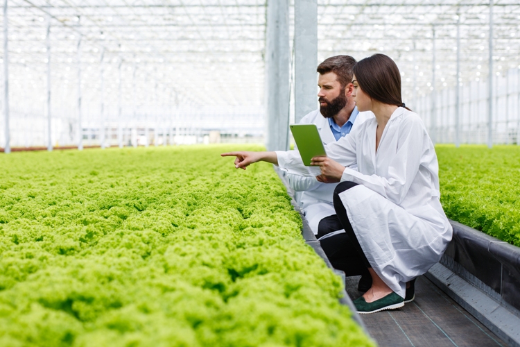 Global Agriculture Careers opportunities and growth in sustainable farming